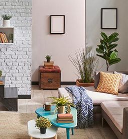 Monthly Web Development Up Cost Of JavaScript